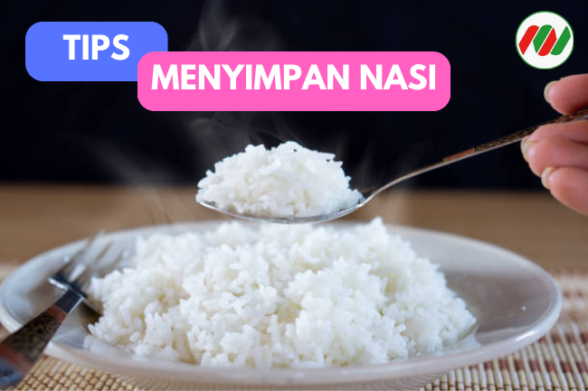 Panduan Menyimpan Nasi dengan Benar Agar Tidak Cepat Rusak